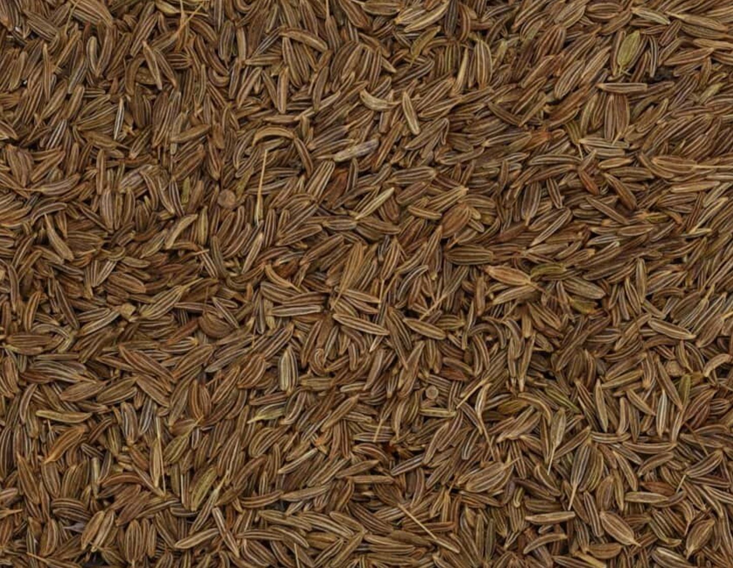Close-up of dried caraway seeds, showing long, small, brown seeds used for teas and herbal remedies.
