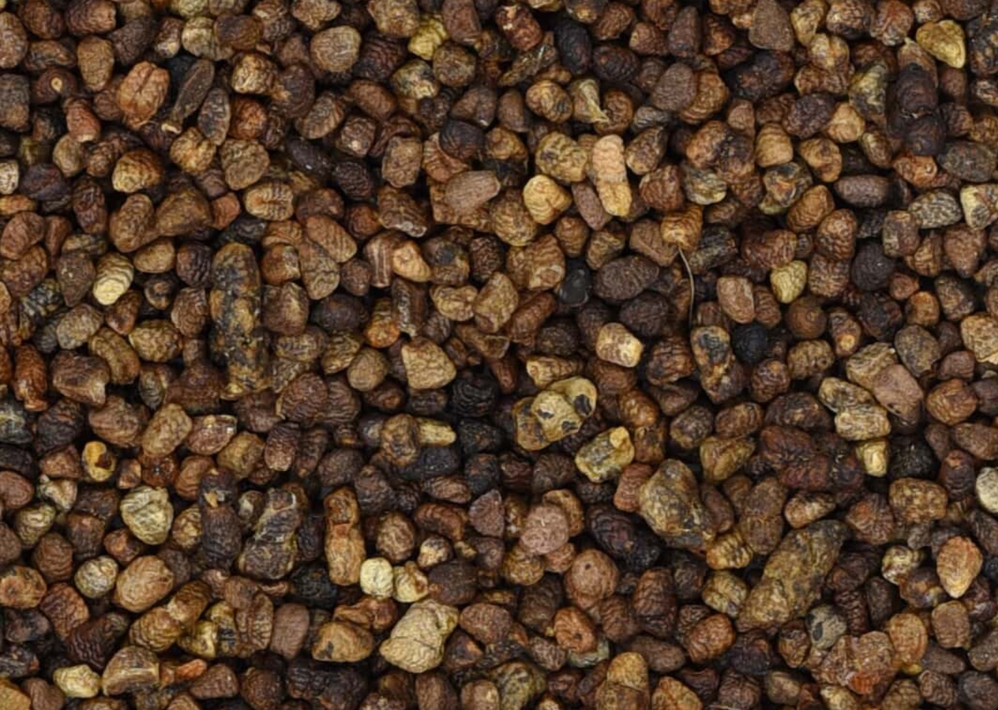 Close-up of dried inner cardamom seeds, showing round, small, dark brown seeds used for teas and herbal remedies.