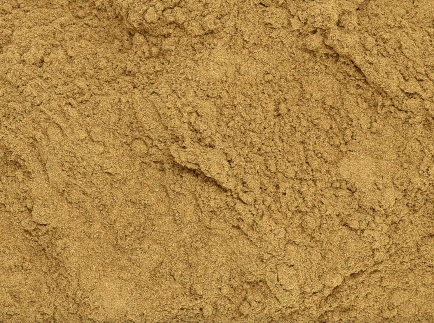 Close-up texture of dried cascara sagrada powder, light brown and finely ground, for teas and herbal remedies.