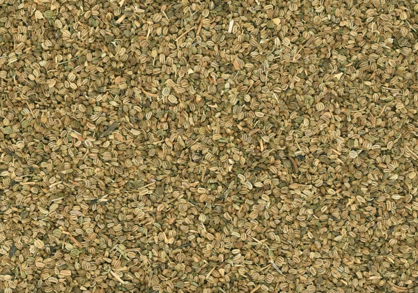 Close-up of dried celery seeds, showing small light green seeds used for teas and herbal remedies.