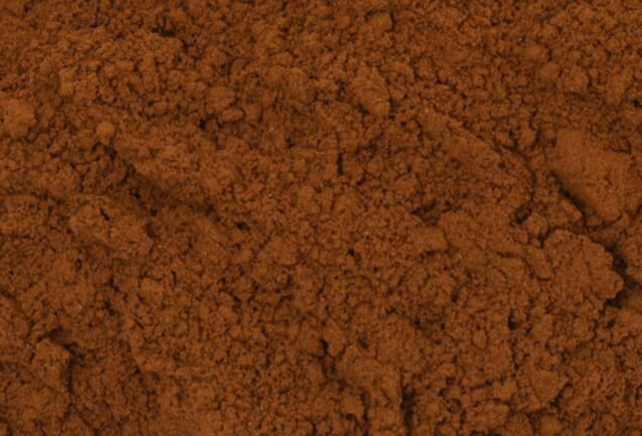 Close-up texture of dried chaga mushroom powder, showing brown powder used for teas and herbal remedies.