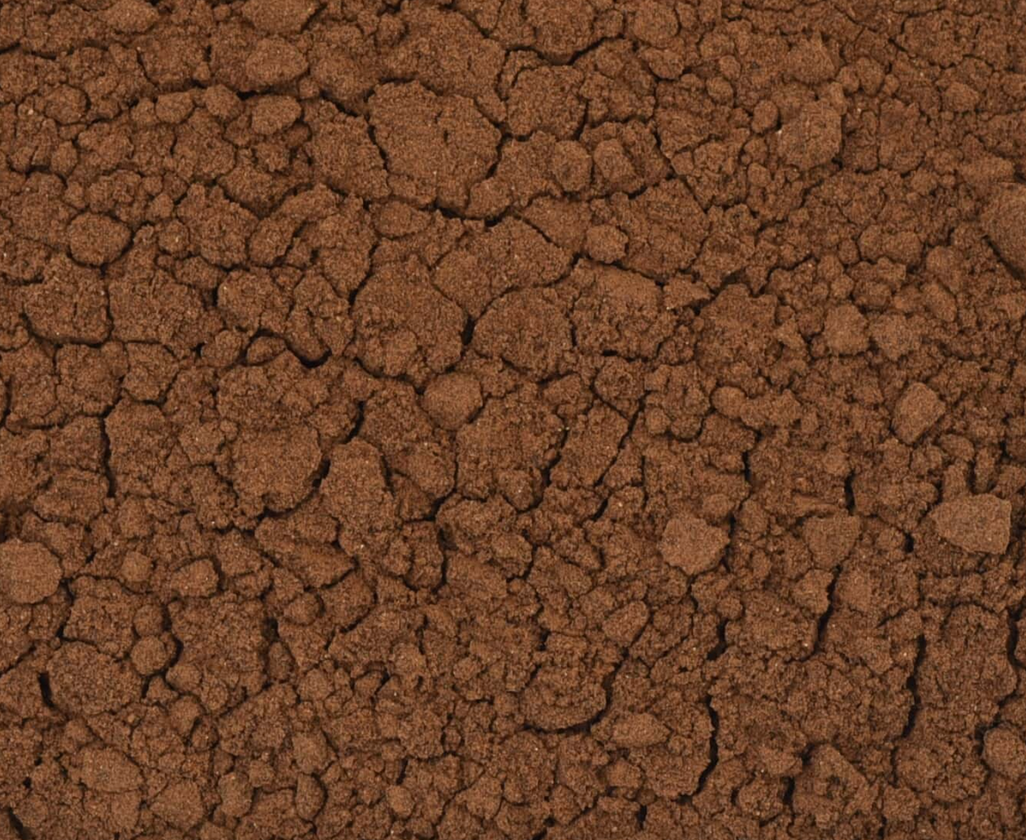 Close-up texture of dried chaga mushroom powder, showing brown powder used for teas and herbal remedies.