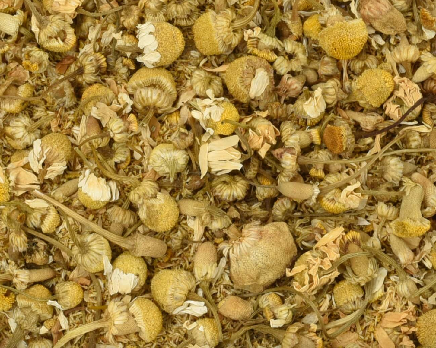 Close-up texture of dried chamomile flowers, showing vivid golden flowers used for teas and herbal remedies.