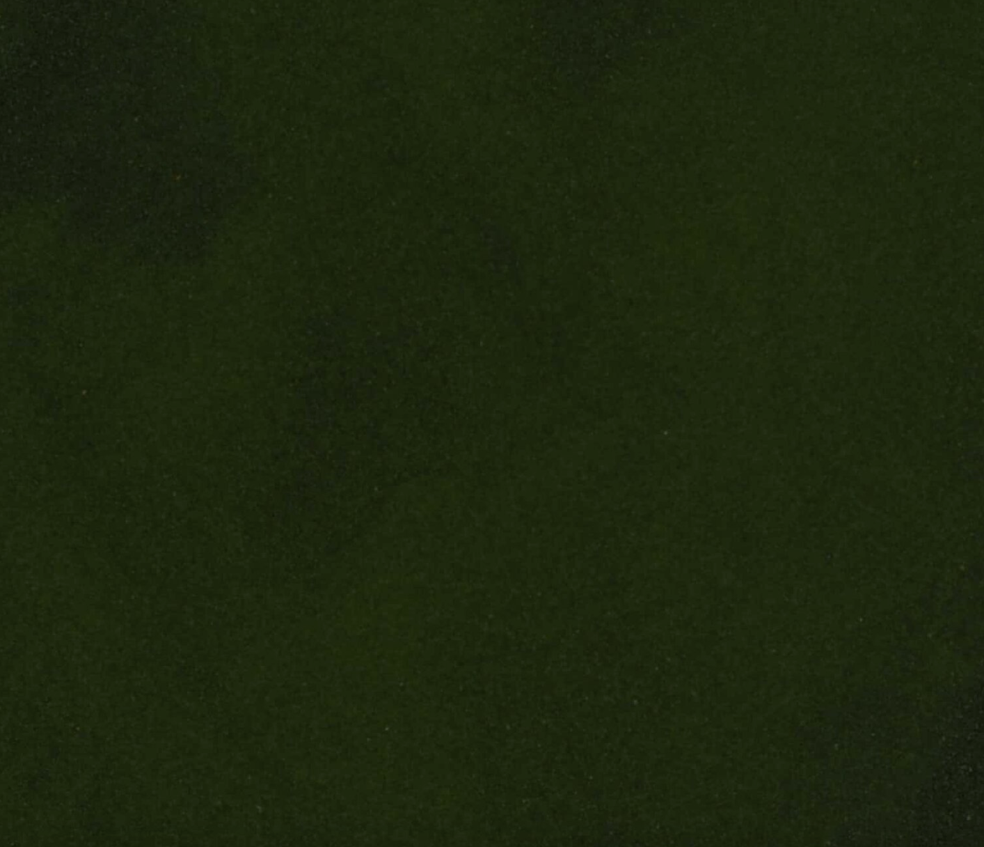 Close-up texture of dried chlorella powder, showing dark green powder used for teas and herbal remedies.