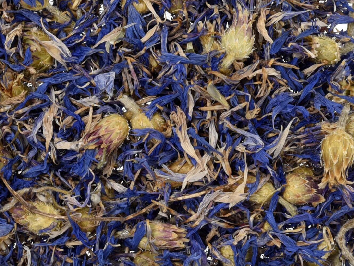 Close-up texture of dried cornflowers, showing vibrant blue flowers used for teas and herbal remedies.