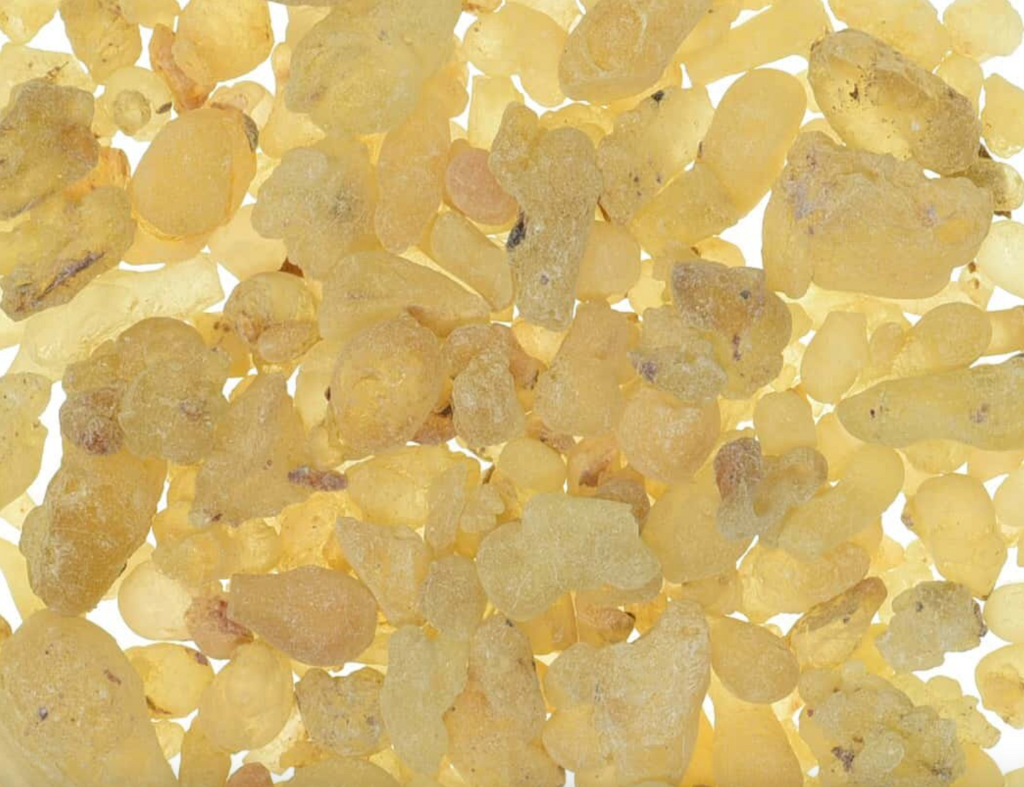 Close-up of dried frankincense resin, showing small beige resin tears used for teas and herbal remedies.