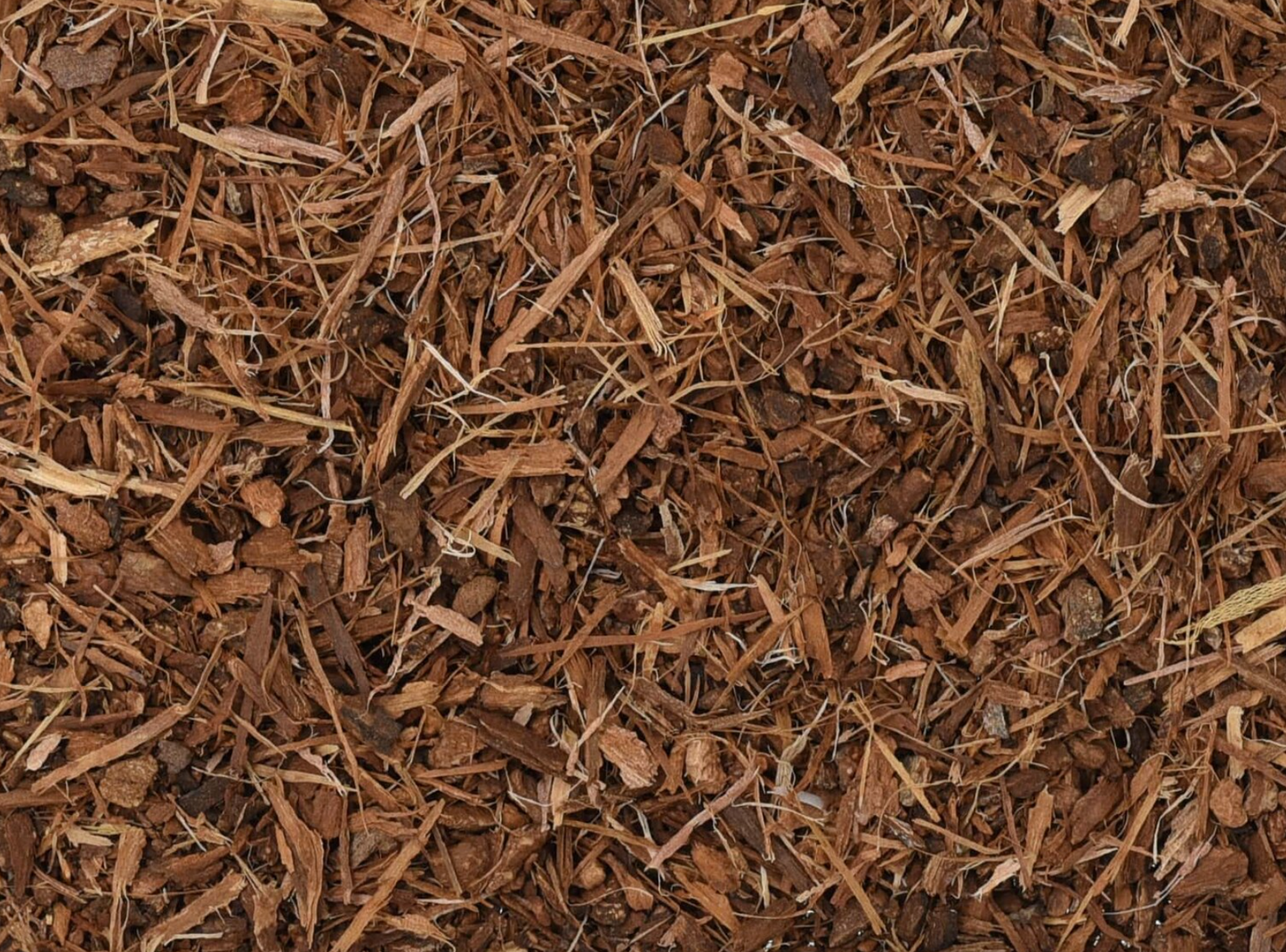 Close-up of dried white oak bark, showing chopped brown bark pieces used for teas and herbal remedies.