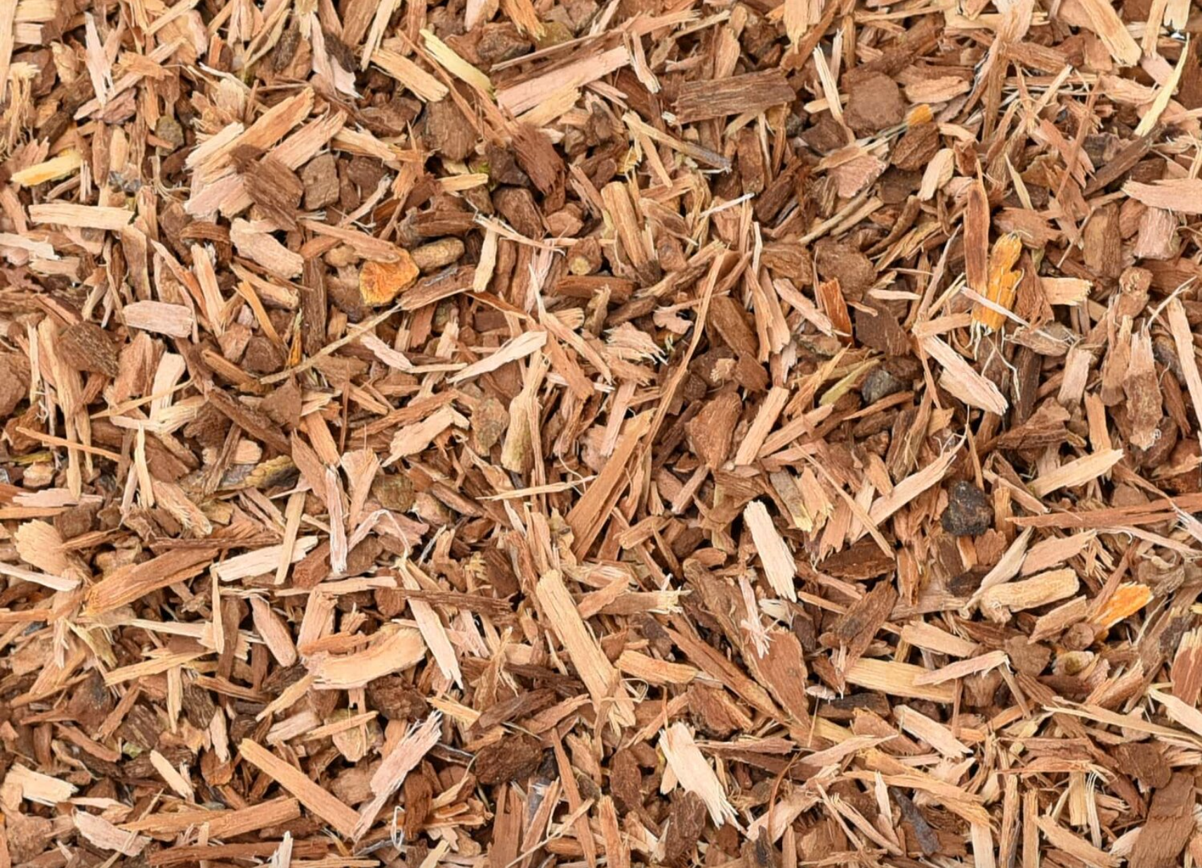 Close-up of dried white willow bark, showing chopped brown bark pieces used for teas and herbal remedies.