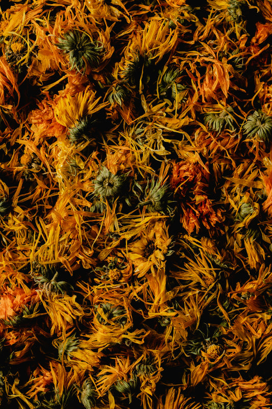 dried calendula flowers