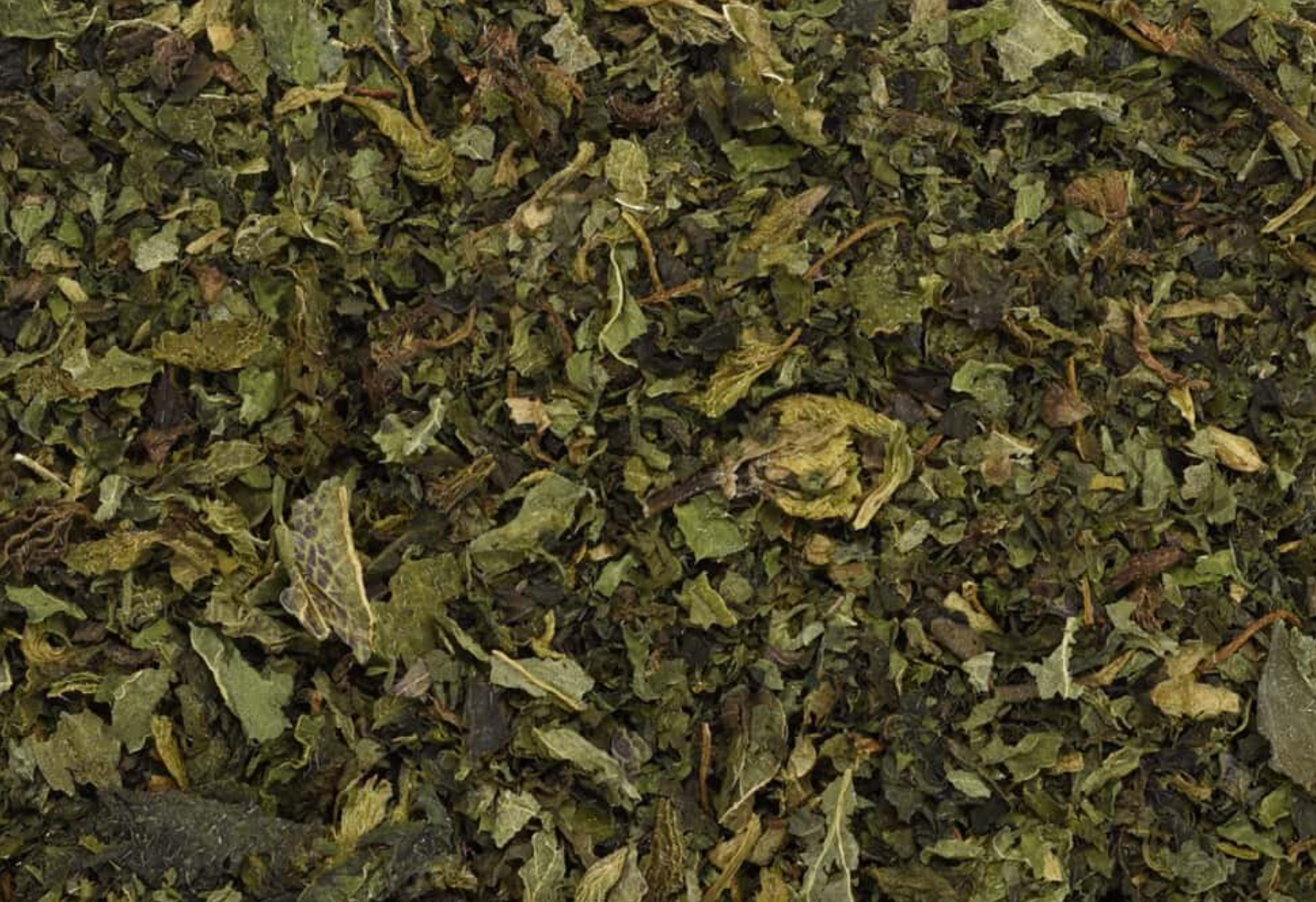 Close-up of dried nettle leaf, showing finely cut dark green leaves used for teas and herbal remedies.